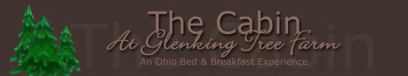 Ohio bed and Breakfast, Cabin Rental, Glenking Tree Farm B&B - Minerva OH